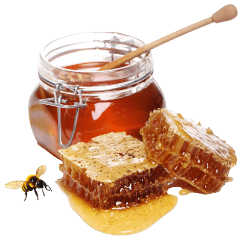 تماس با فروشگاه اینترتی ییلاق