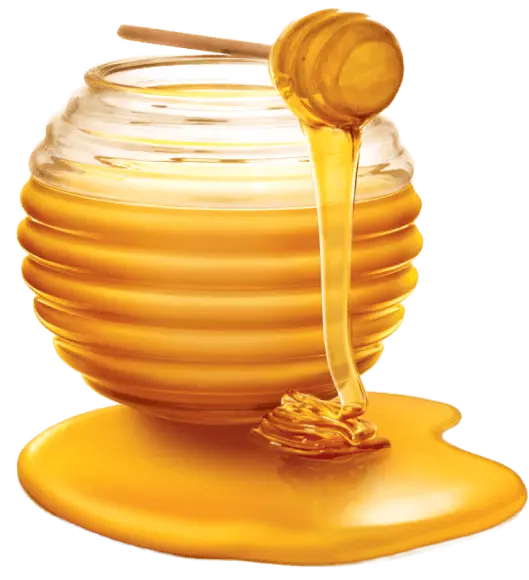 سایت ییلاق مرکز تخصصی عسل