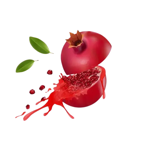 انواع رب انار خانگی ییلاق